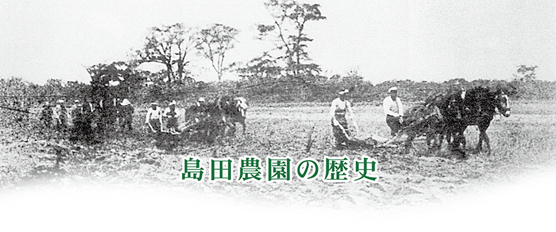 rekishi-top